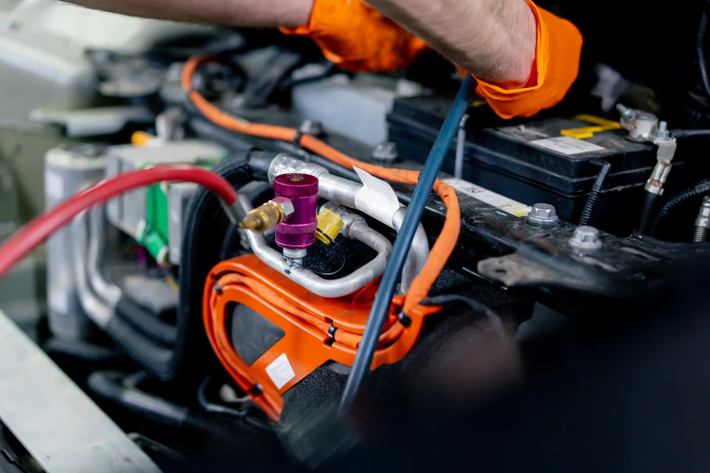 close-up in clean car service in the front of the car under the hood car power wiring system engine